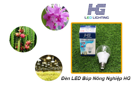 Đèn led búp nông nghiệp HG