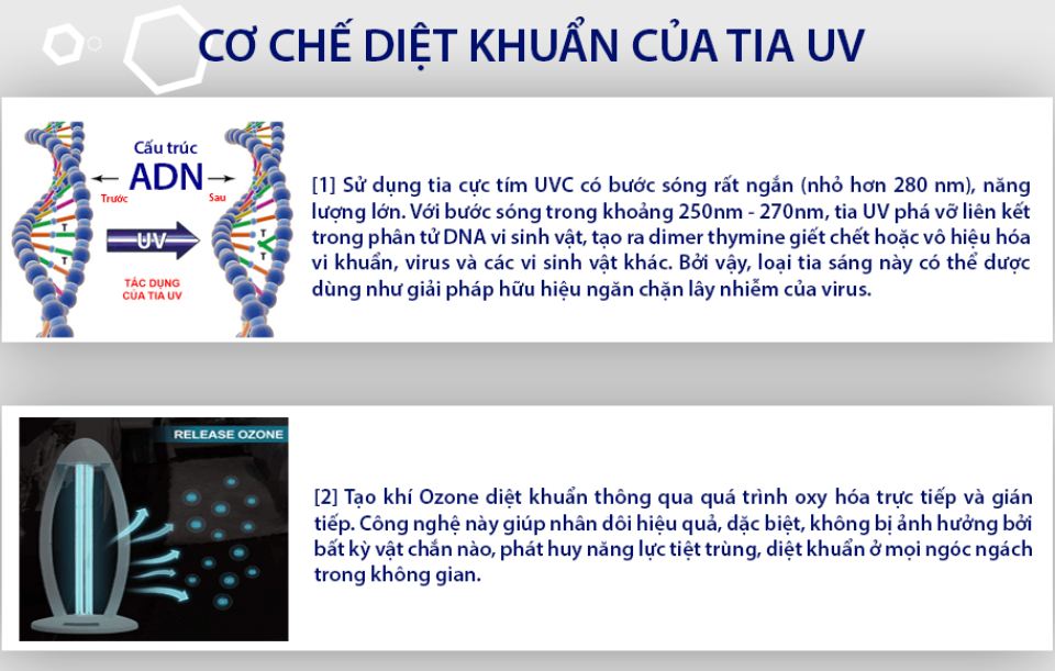 Cơ chế diệt khuẩn của tia UVC