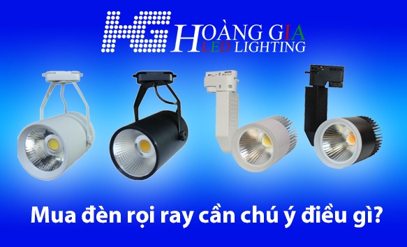 Các mẫu đèn rọi ray